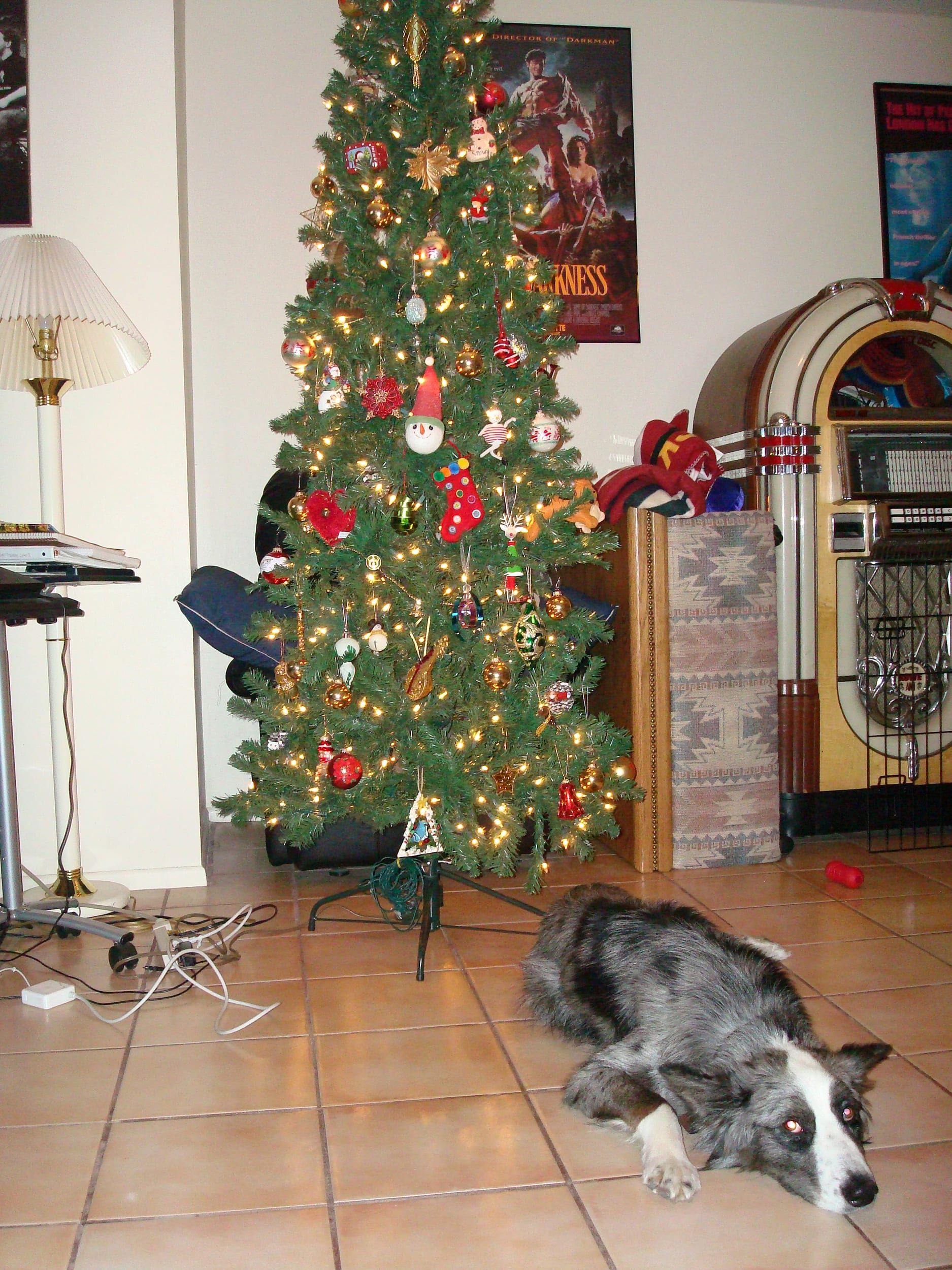 Dino&theChristmasTree20081215b
