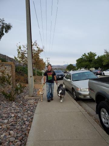 me&dino&bella-walking-newyears2020