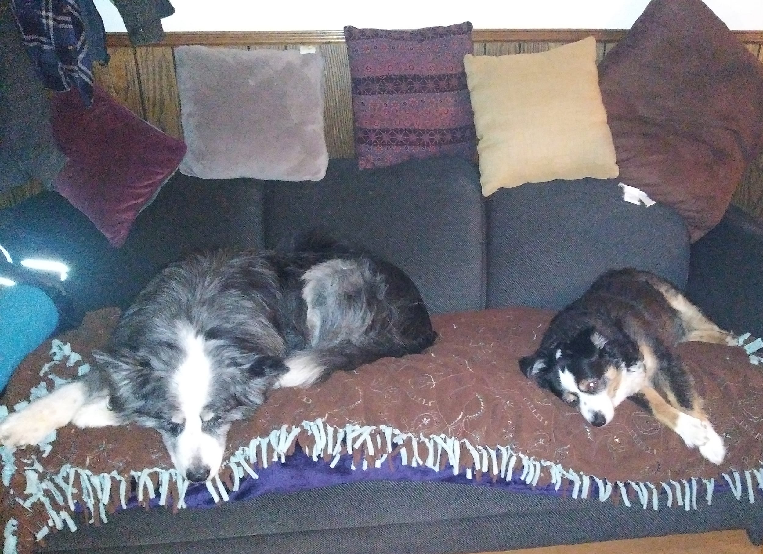 dino&barney20210119