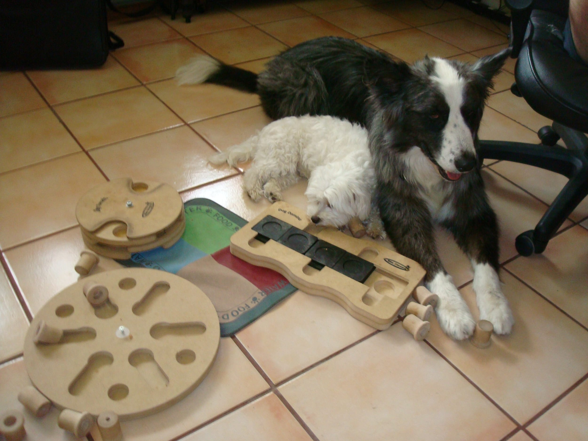 dino&harley-puzzleToys01