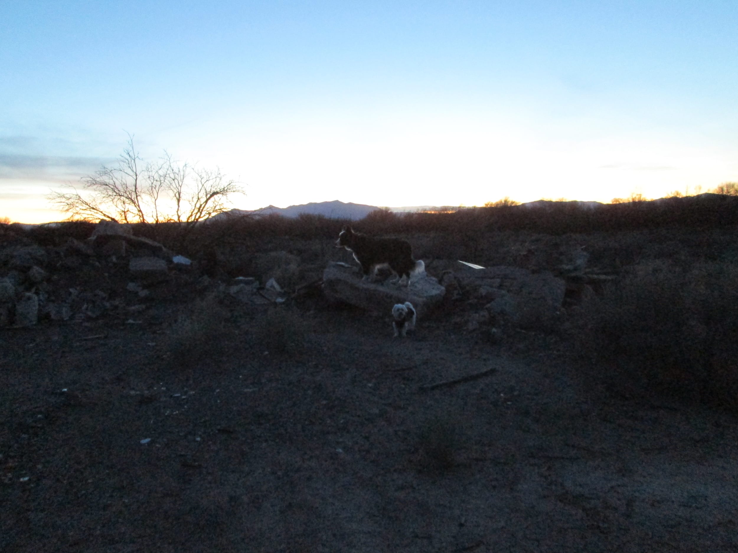 eden20130202-dinoSunset01