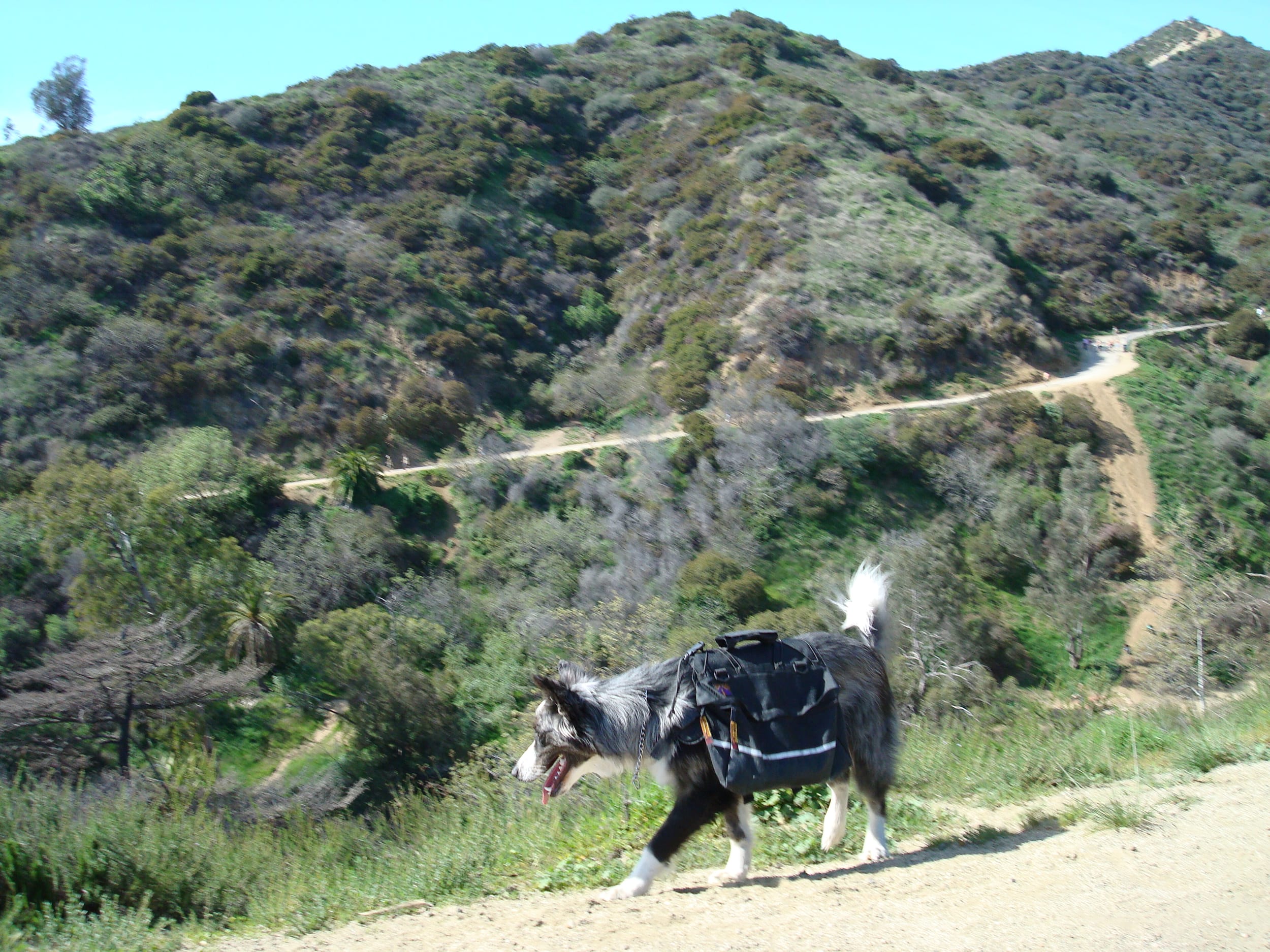 Dino-RunyonCanyon20090301b