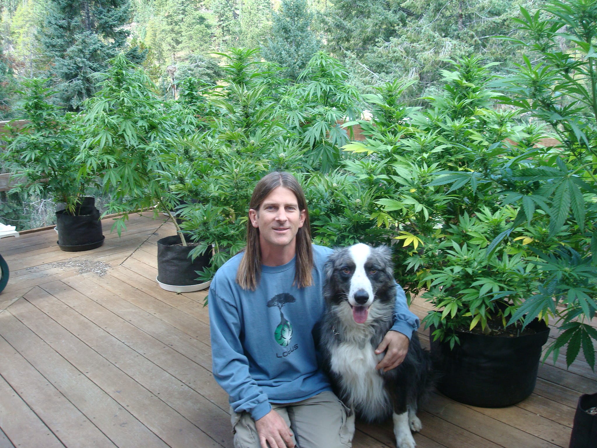 coloradoTrip-sept2010-bluewolfsHouse04-dave&dino&plants-BEST