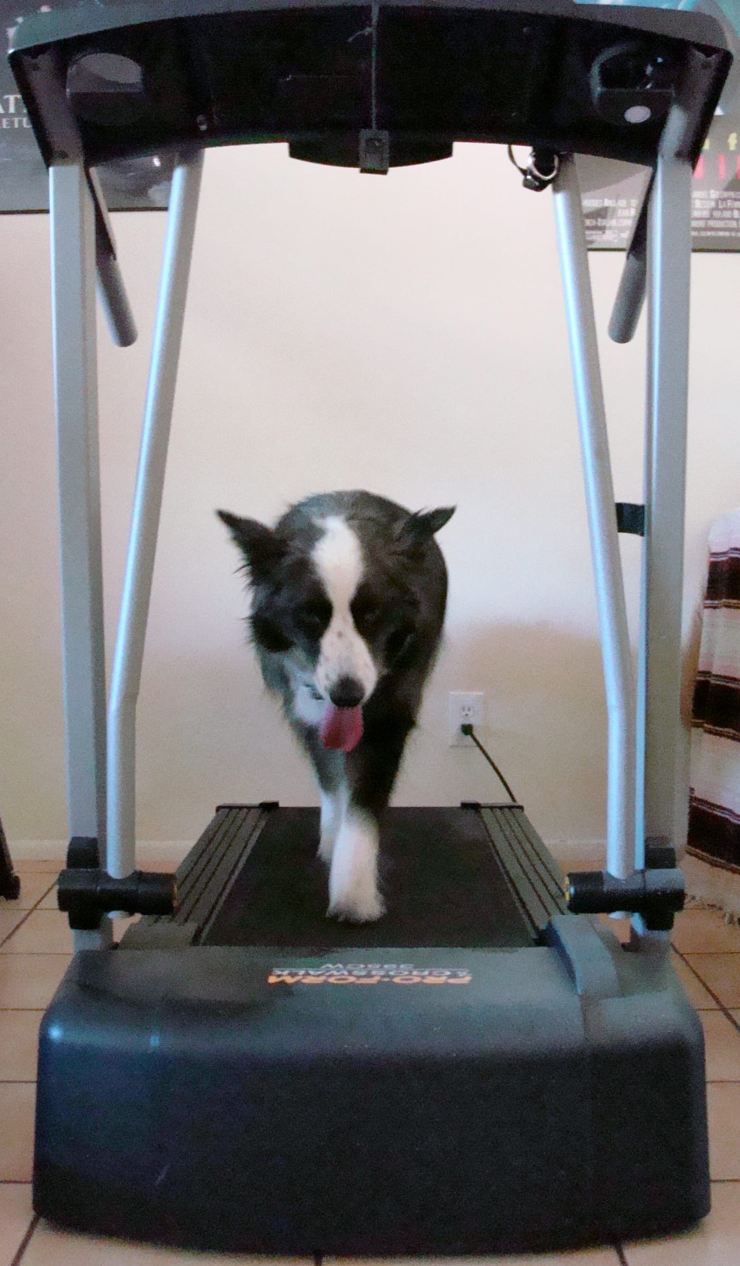 dino-treadmill-jun2011