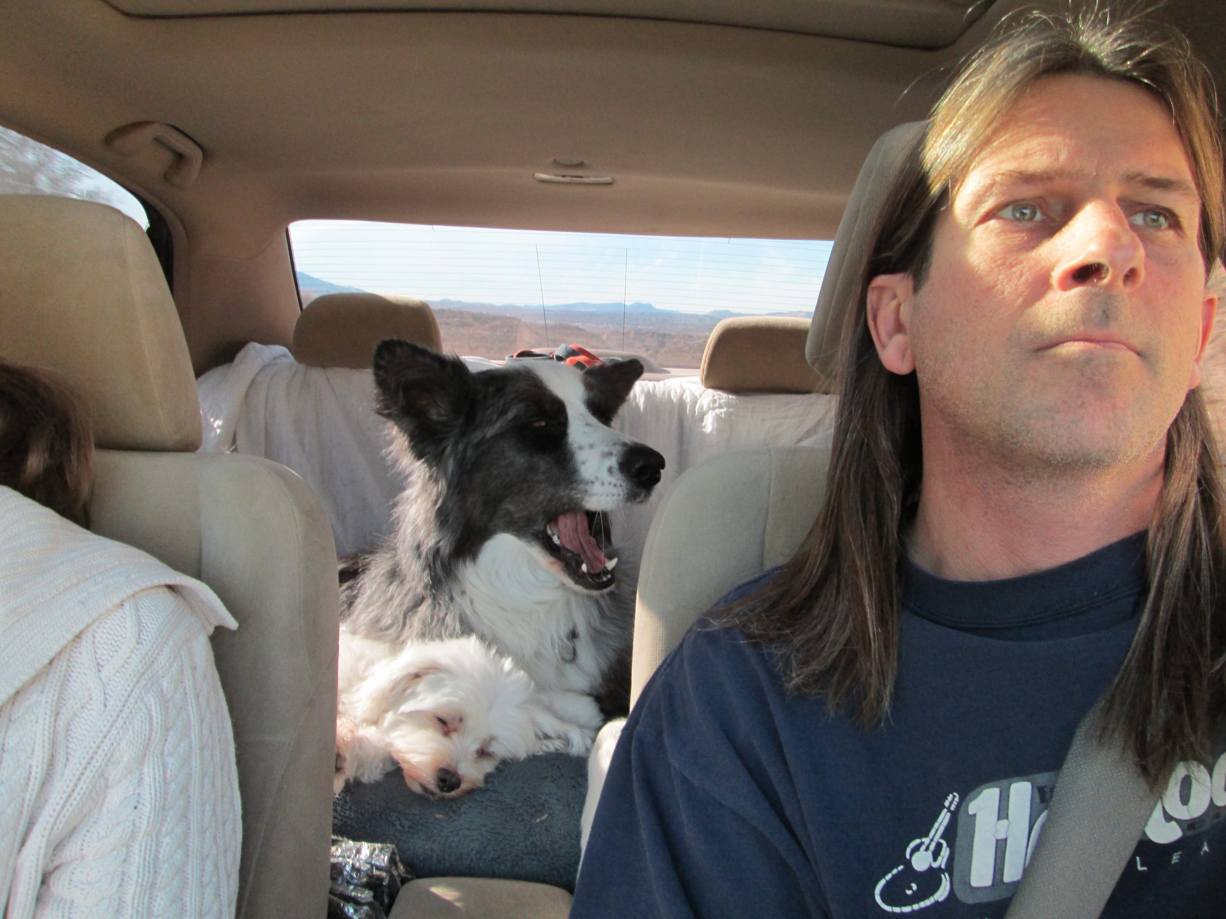 dino&harley-inCar-20130202