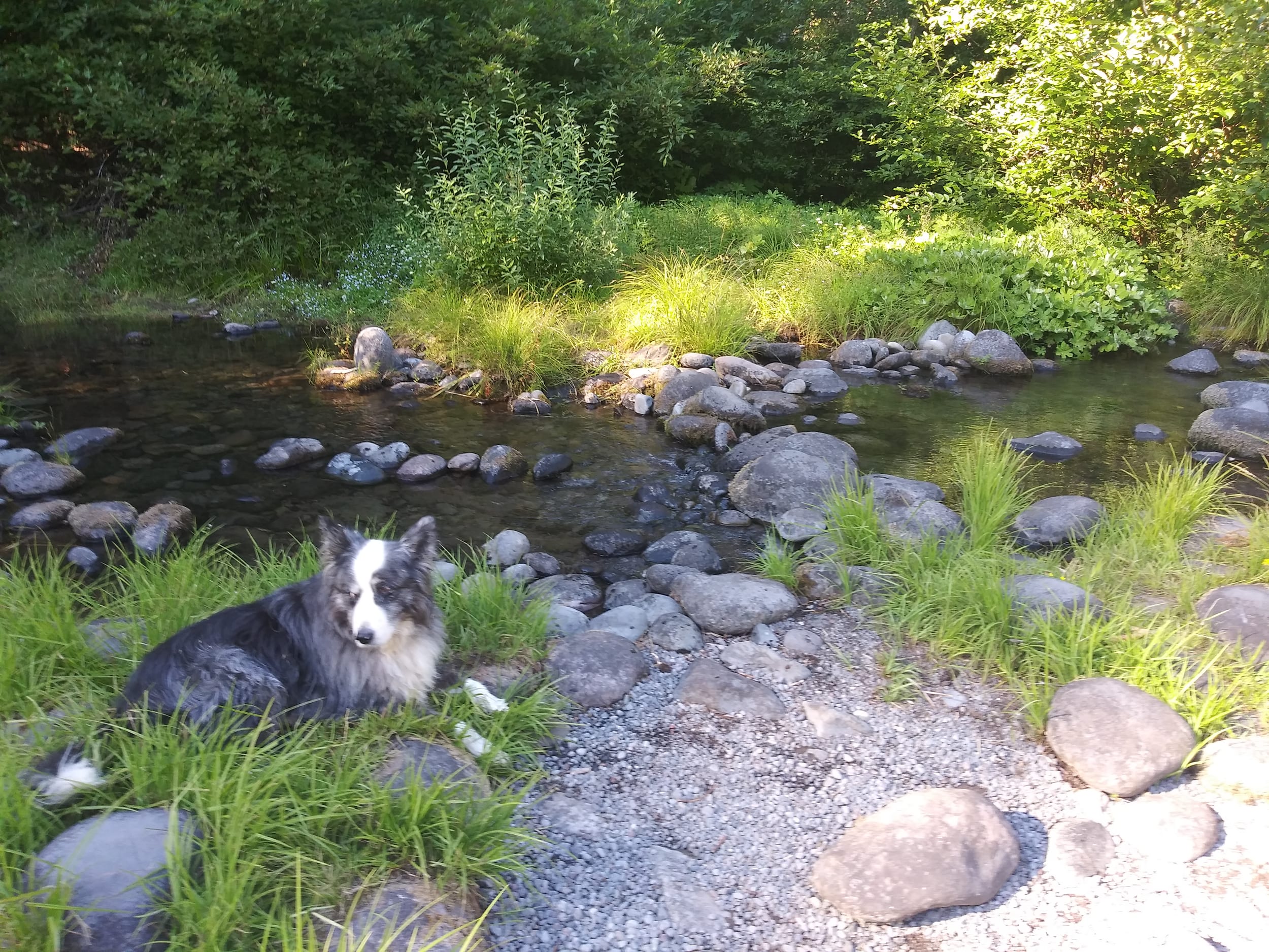 DinoByRiver20200809f