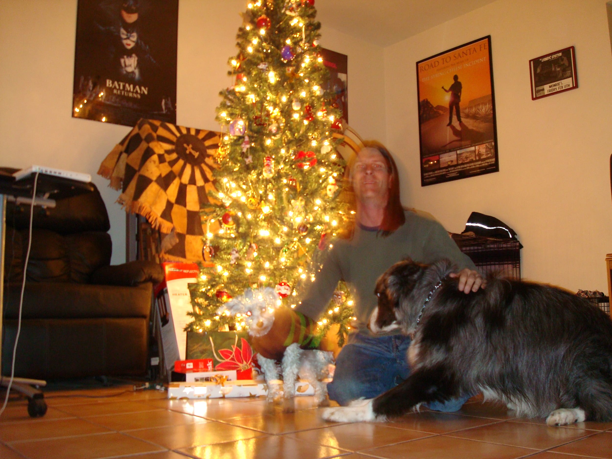 christmastree2010-dave&dino&harley