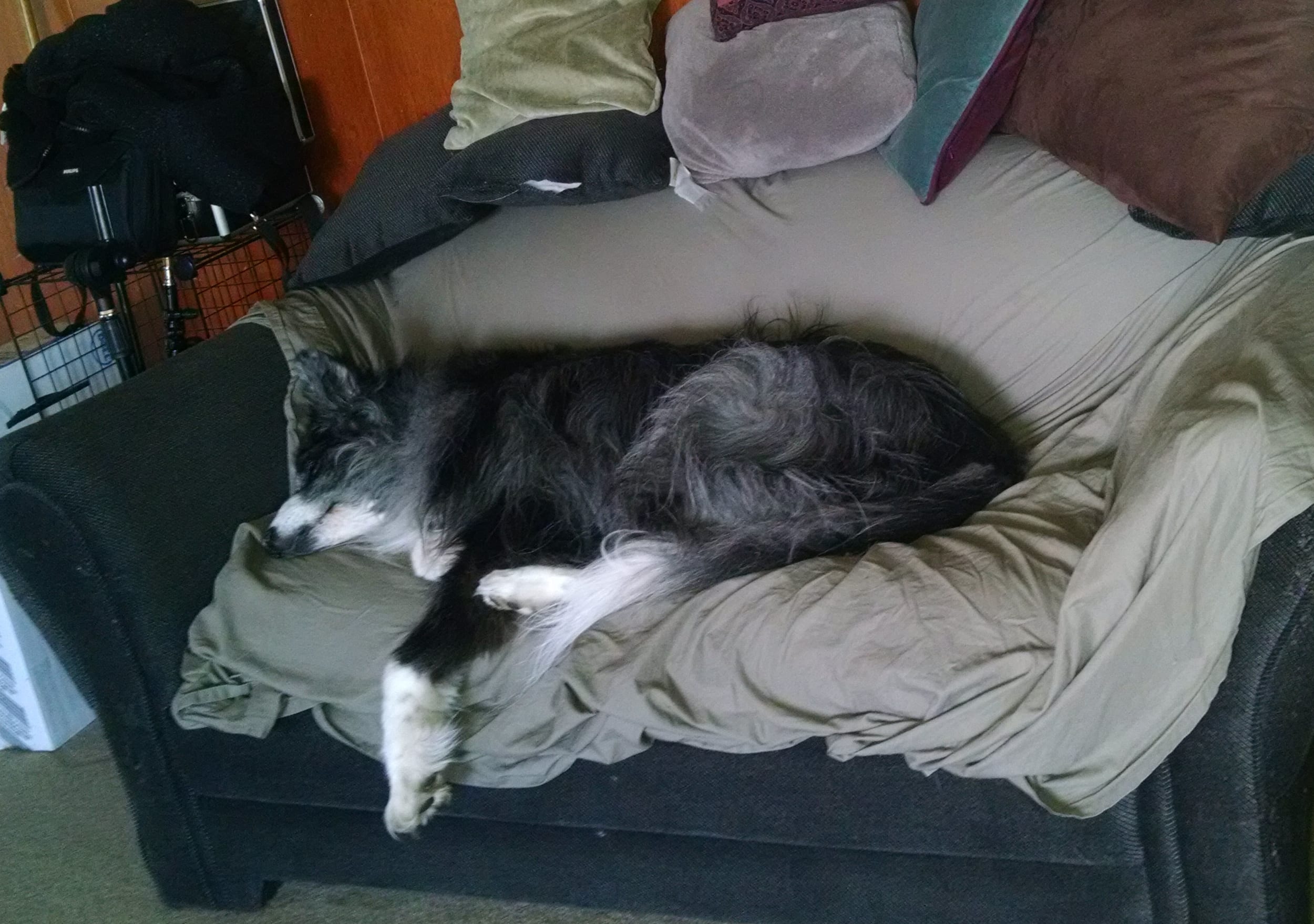 dinoCrashedOnTheCouch20180429