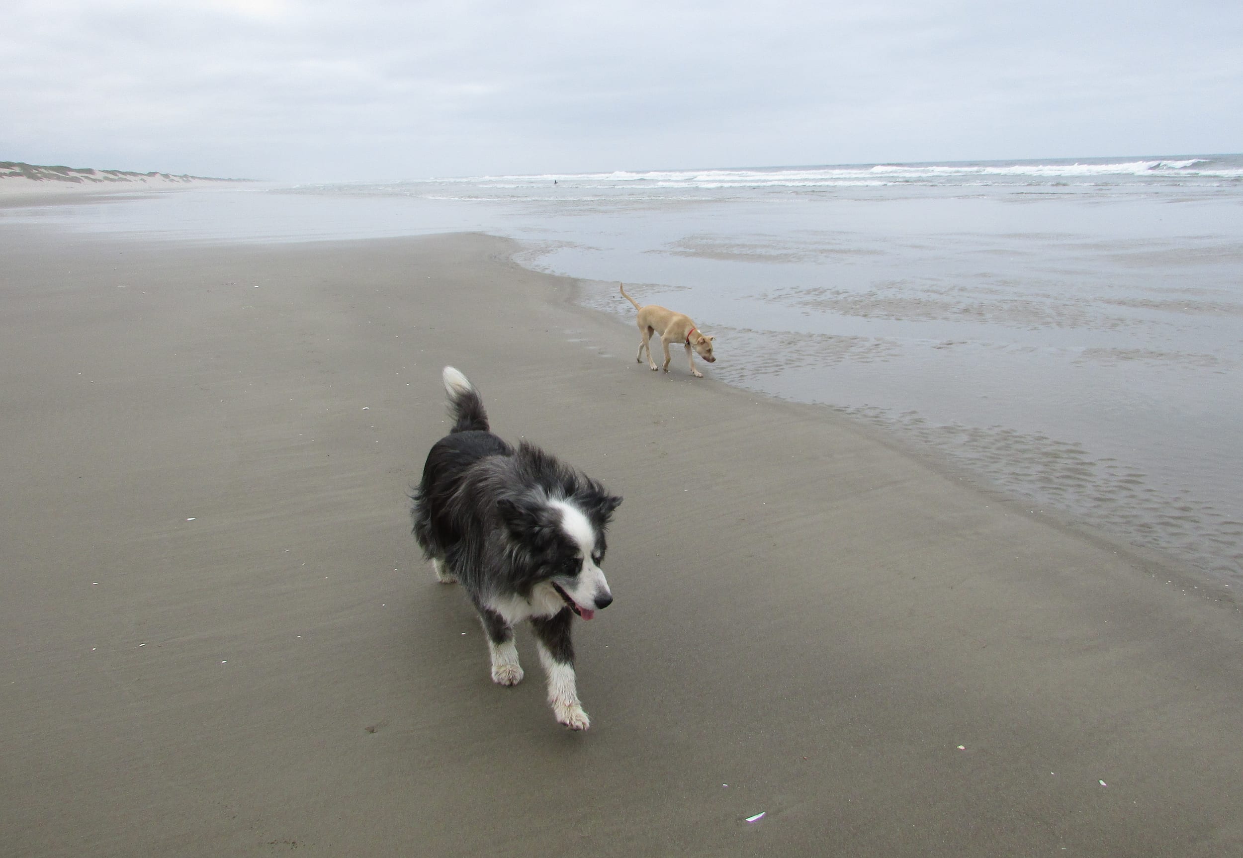 beach-24may2021-24-pedro&dino