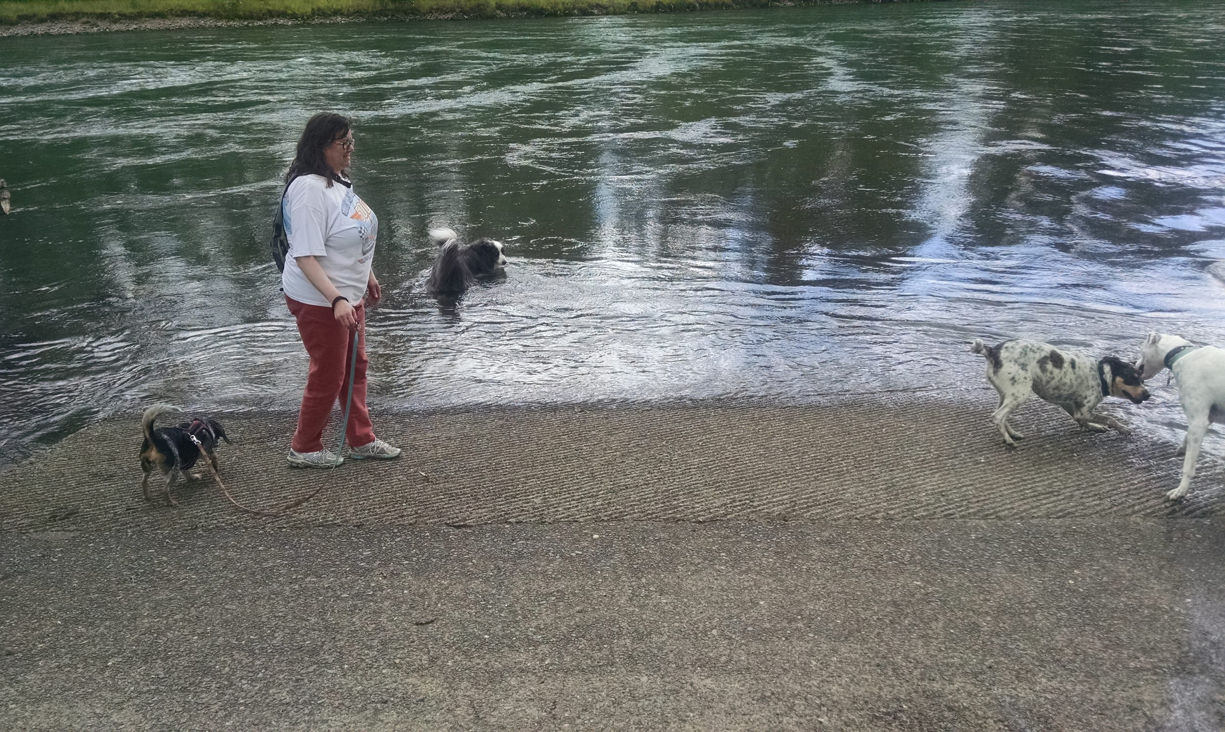 DorisRanchDogWalk-jun2017c-waterDino