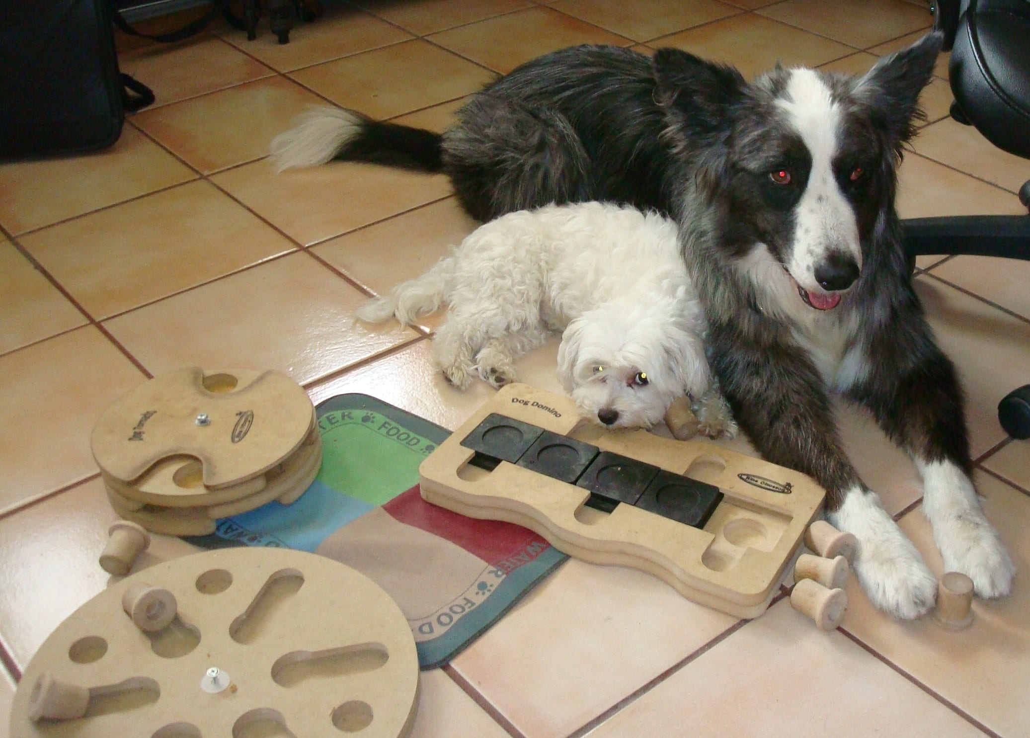 dino&harley-puzzleToys02