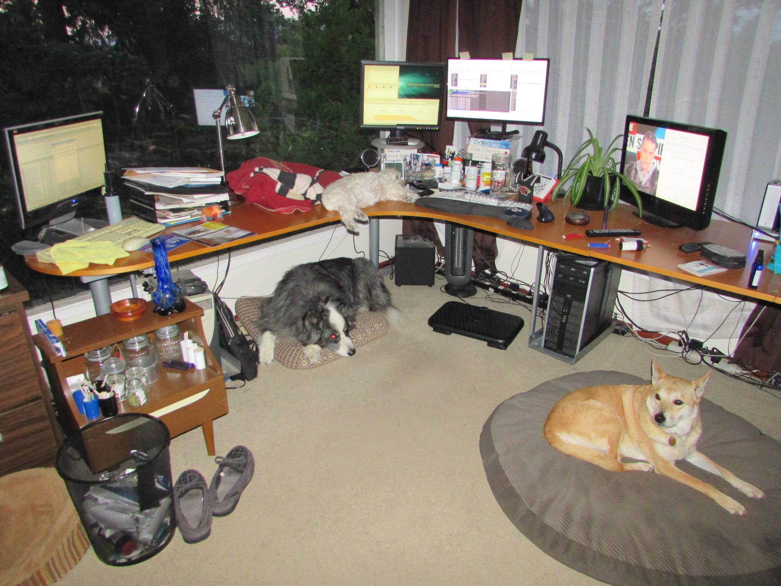 cityview-commandcenter-dinoharleybella-jun2018c