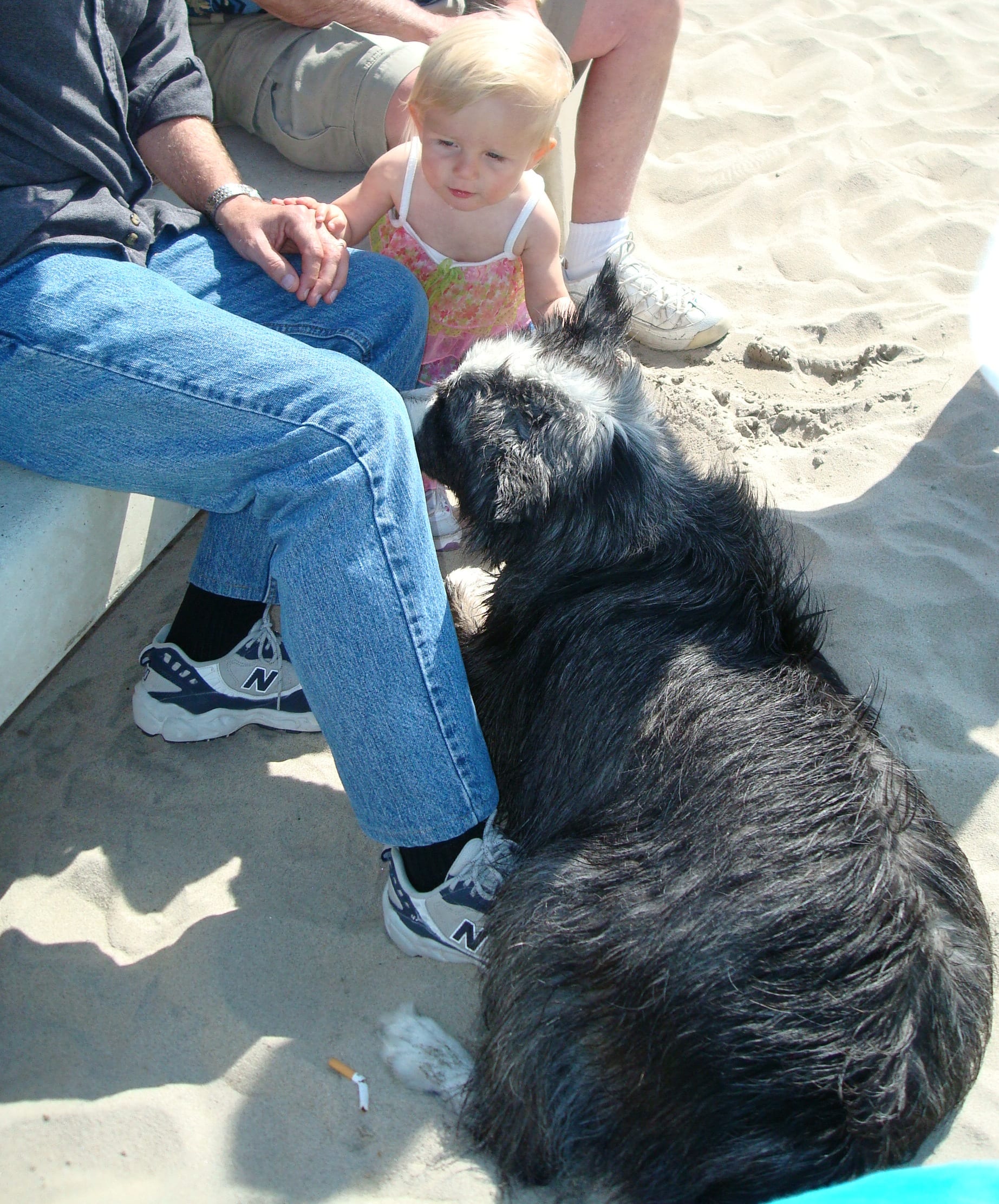 kylie&dino-dogbeach-mar2011-03