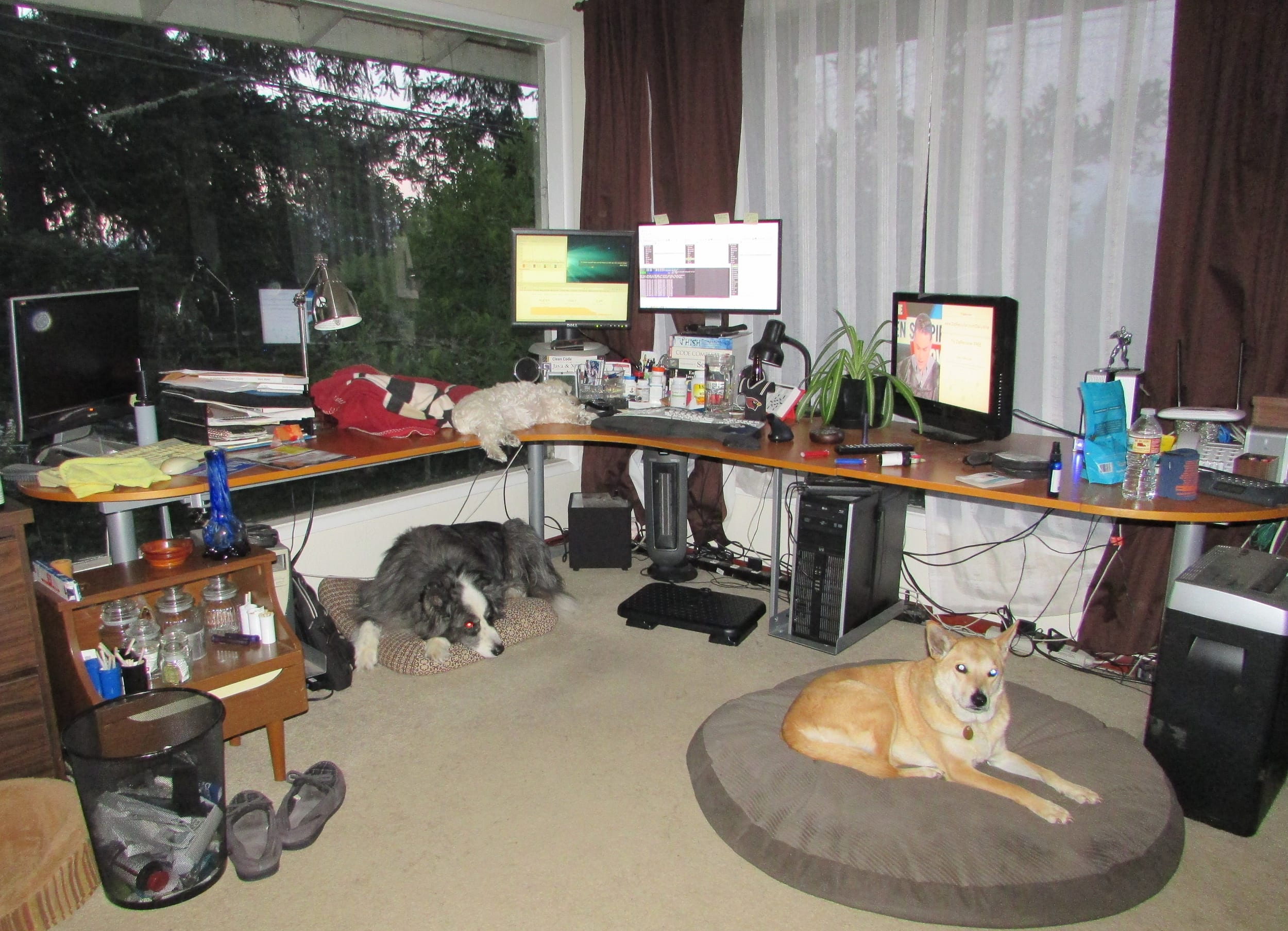 cityview-commandcenter-dinoharleybella-jun2018b