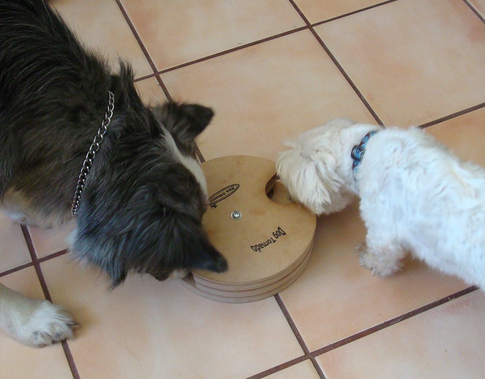 dogpuzzle-dinoharley20090703a