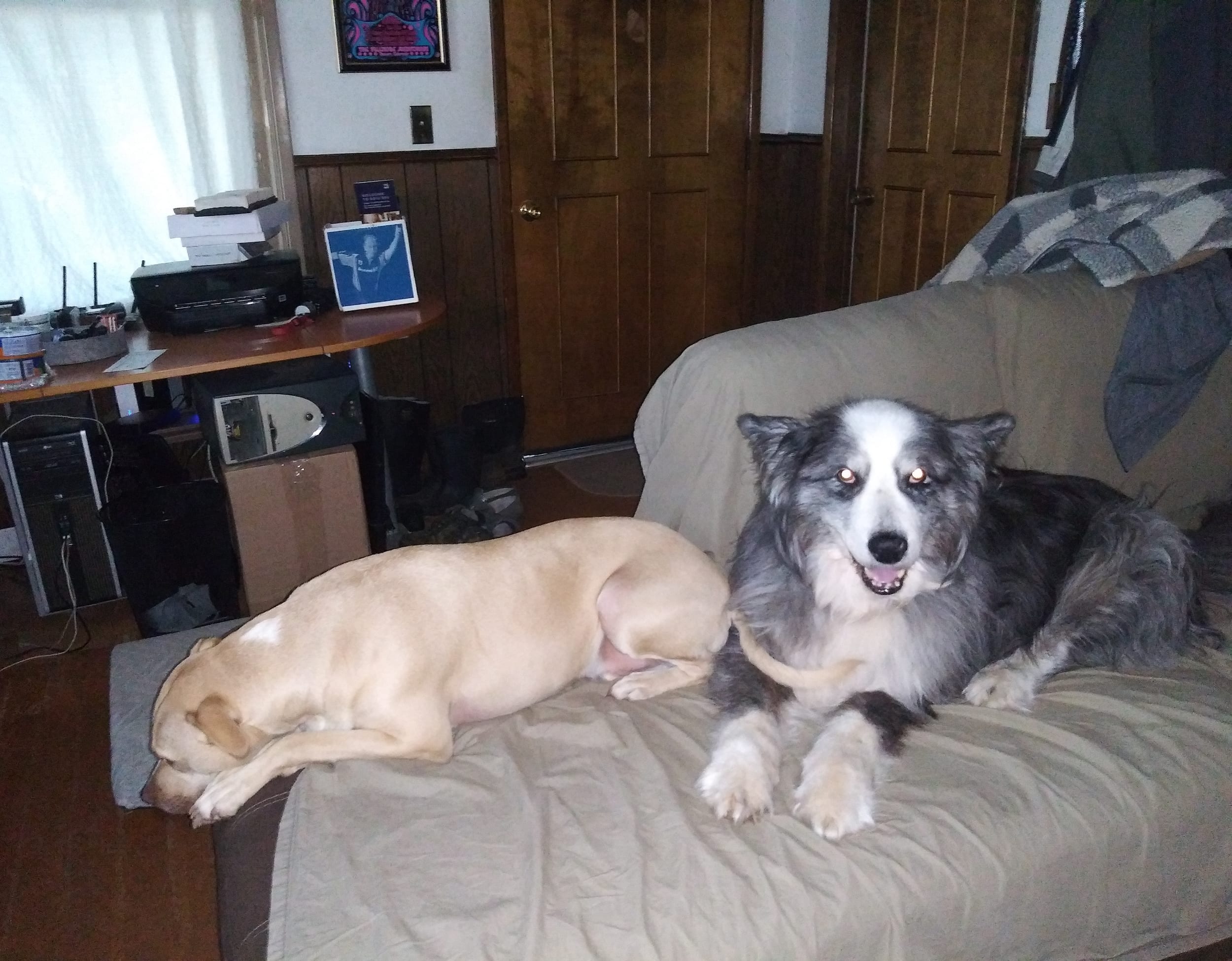 Pedro&Dino-onTheCouch-jun2022b