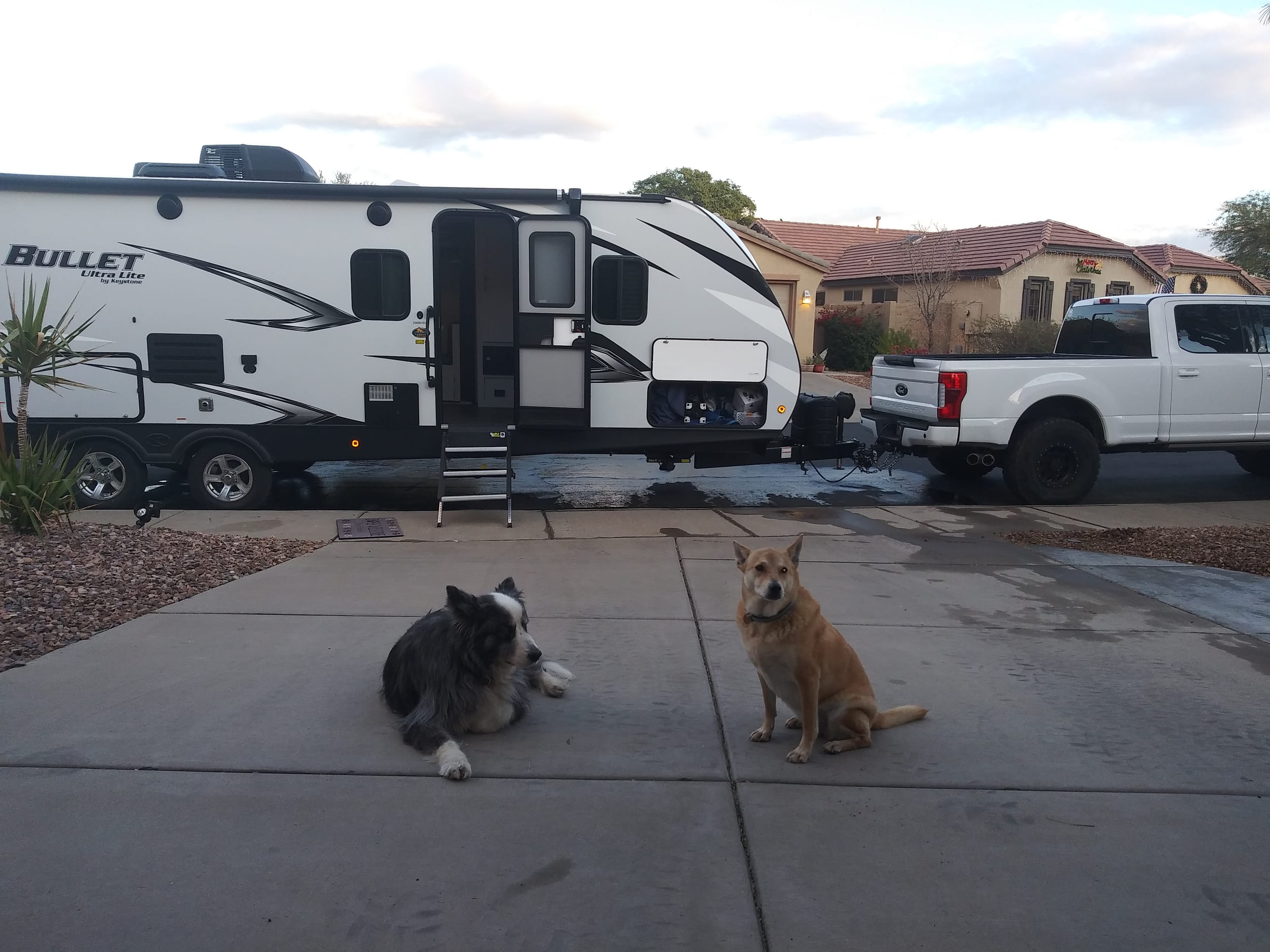 dino&bella20201229a